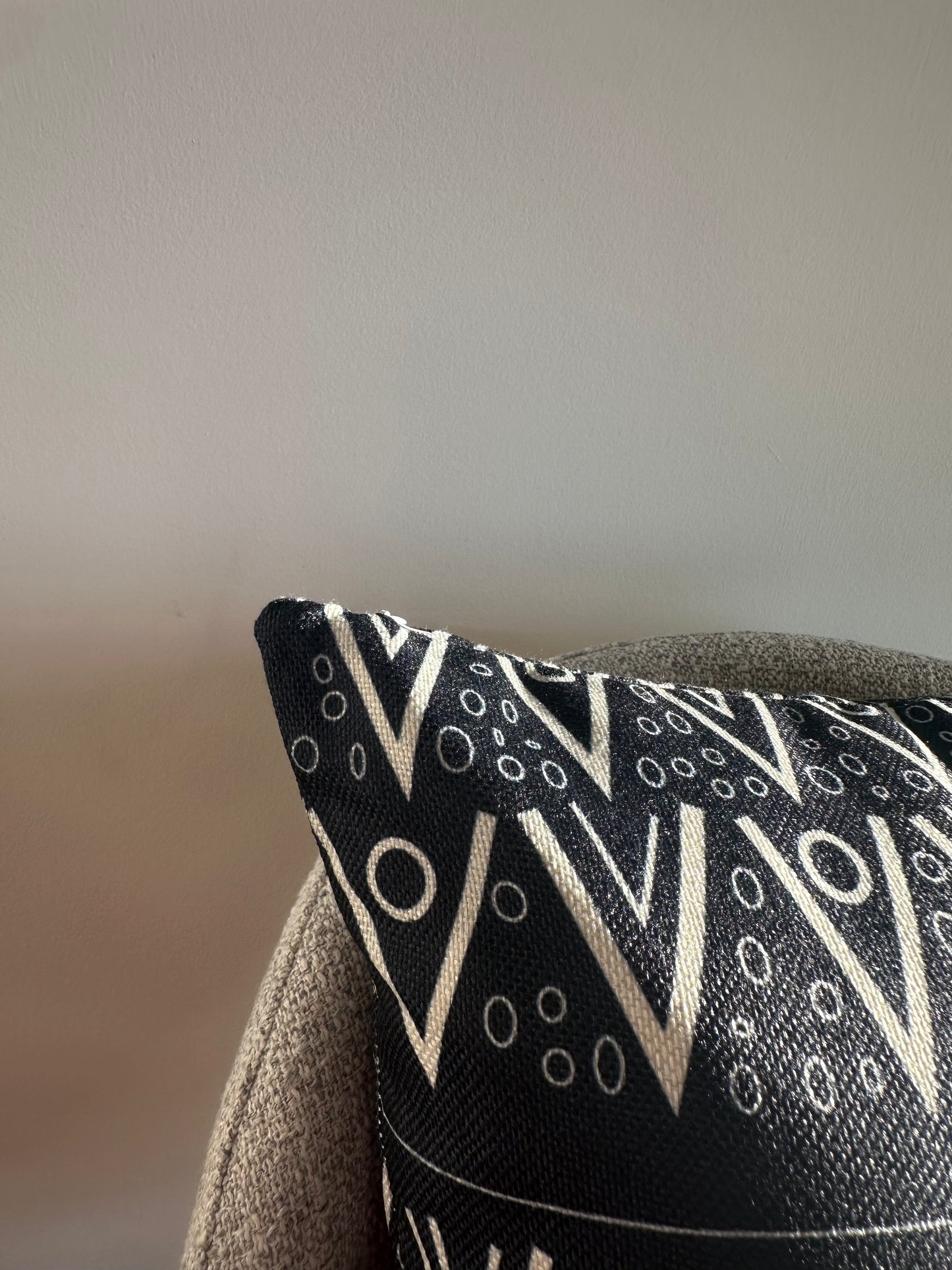 Black & White Throw Pillow